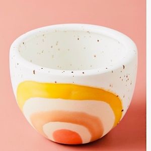 Iris Rainbow 🌈 Pot